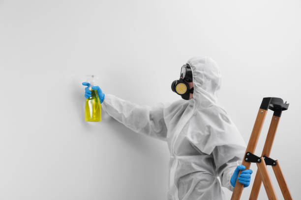 Best Emergency Mold Remediation in Cao, ND